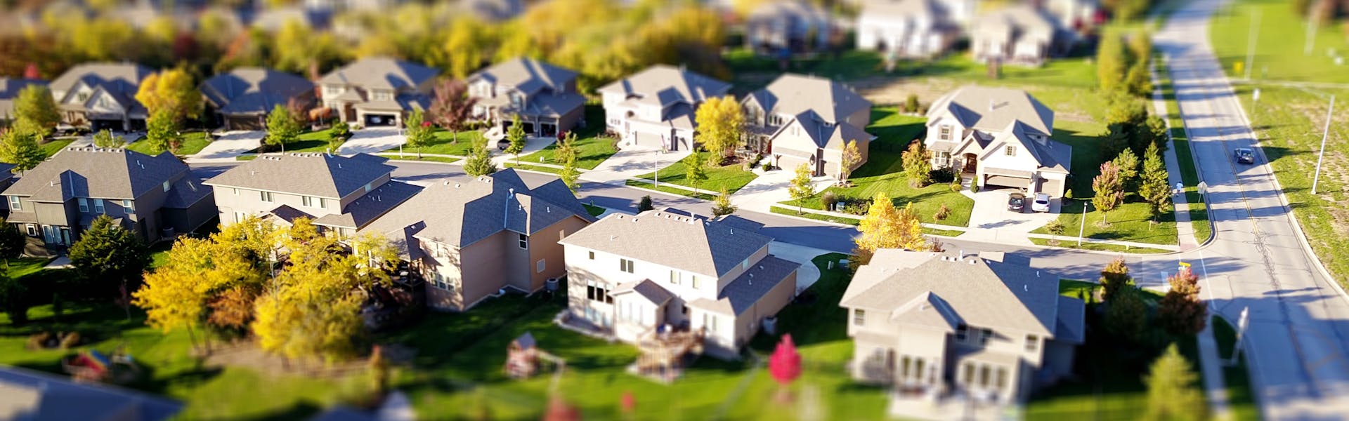 Professional lawn care