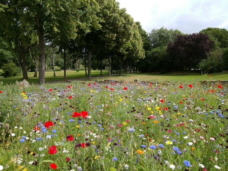 Landscaping service example